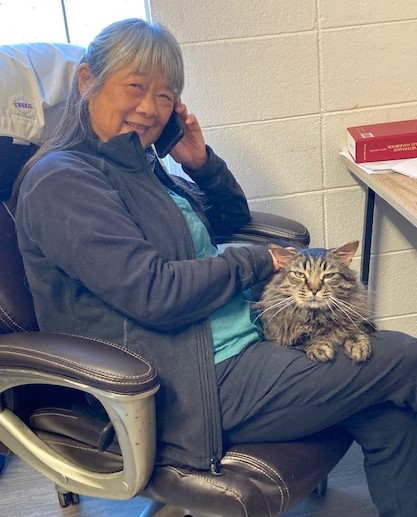 Dr. Fong with a cat sitting in a chair