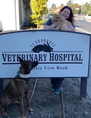 Dr. Lisa Franck - El Sobrante Veterinary Hospital | El Sobrante | CA